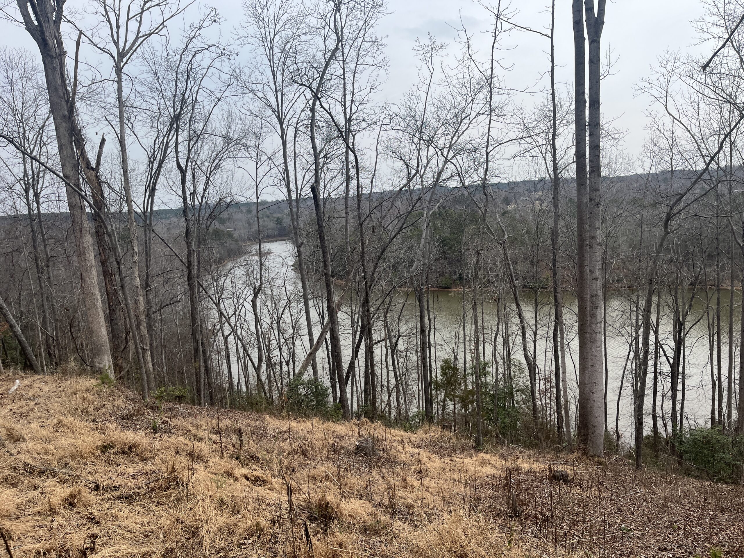 Lot 2 Blalock Buck Creek 8