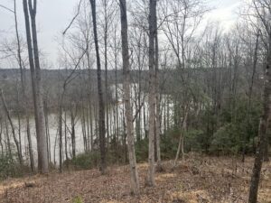 Lot 2 Blalock Cuck Creek 9
