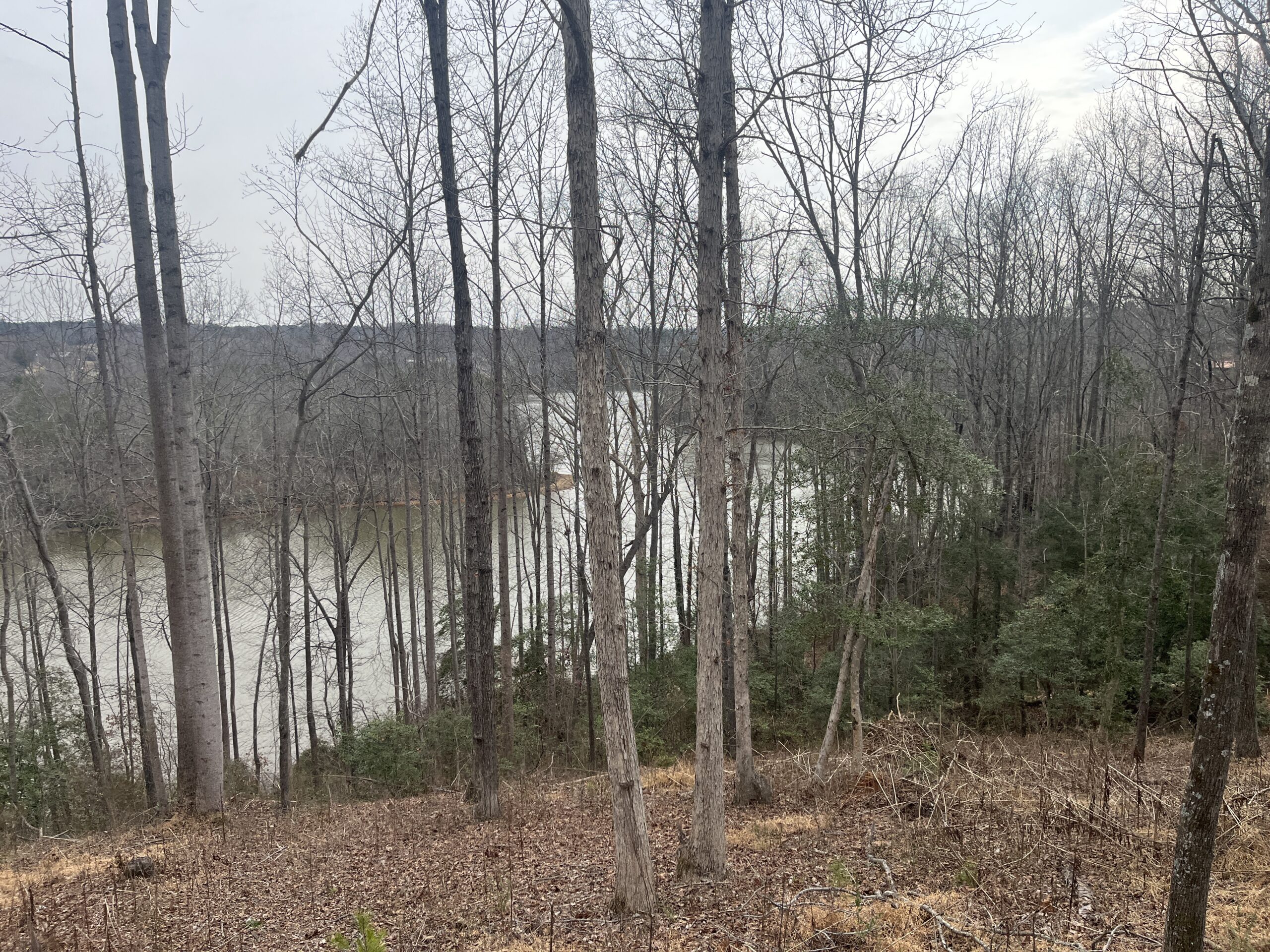 Lot 2 Blalock Cuck Creek 9