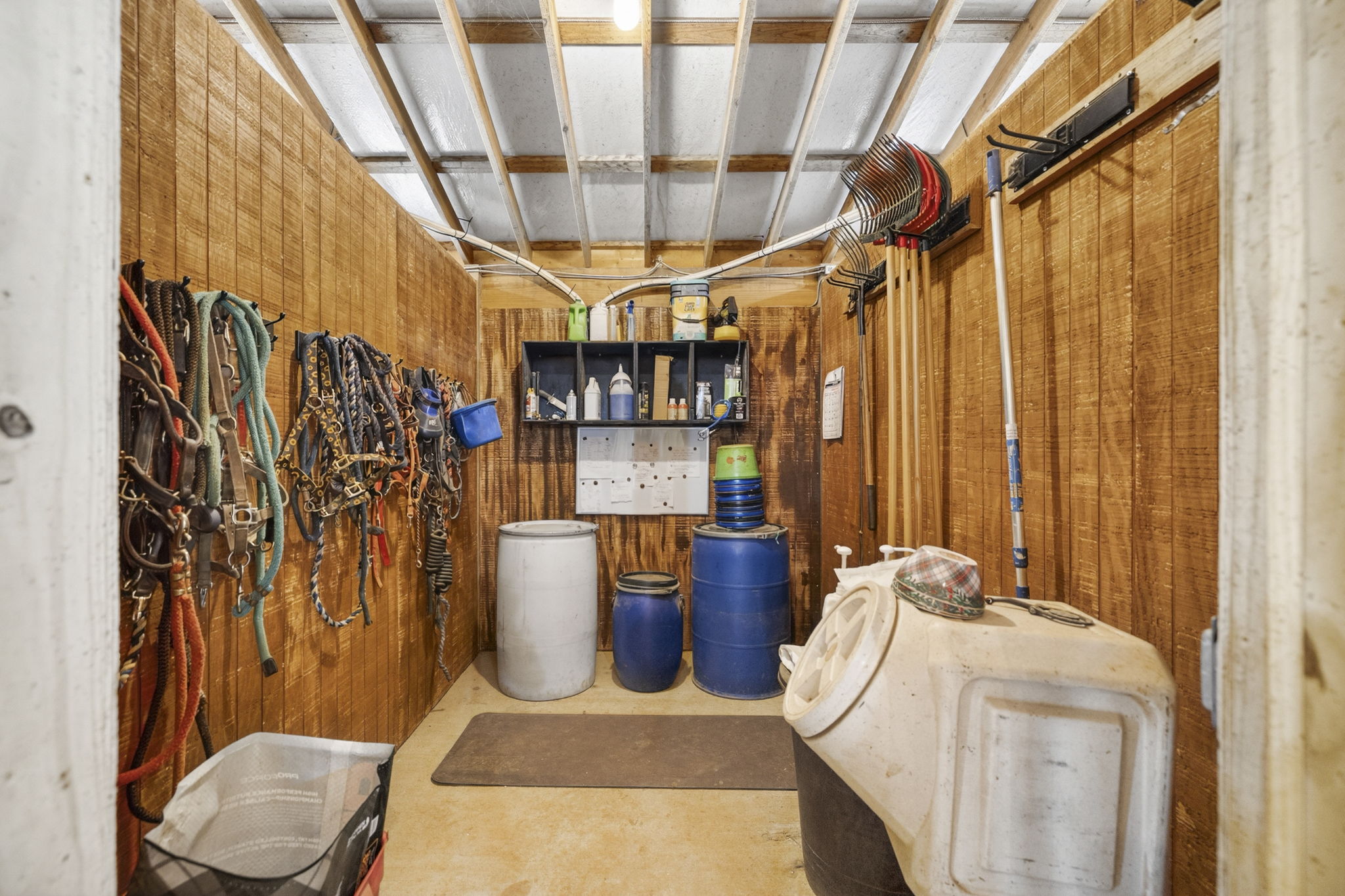 13-web-or-mls-BENR8195