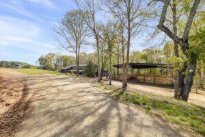3-web-or-mls-BENR8286