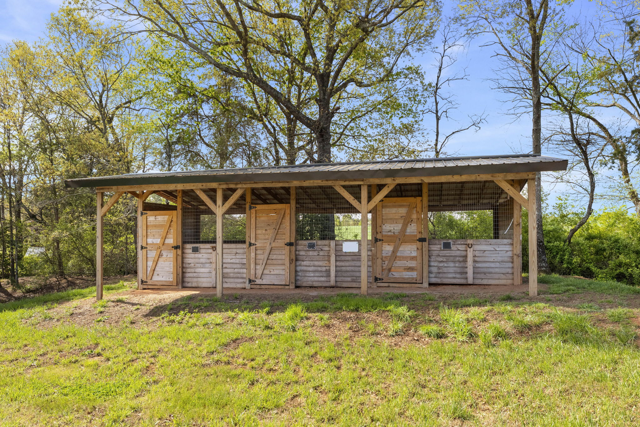 43-web-or-mls-BENR8271