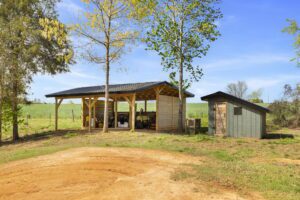 45-web-or-mls-BENR8283