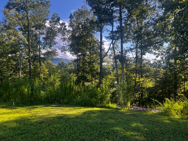 23 Mtn Park 4